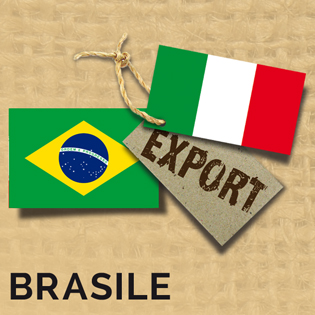 Import/Export BRASILE