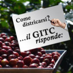 Base GITC risponde 07