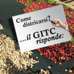 Base GITC risponde 19