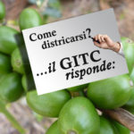 Base GITC risponde 20