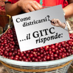 Base GITC risponde 28