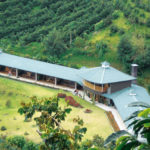PANAMA foto 02