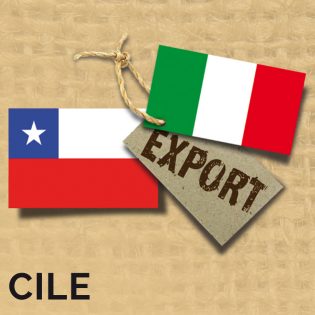 Import/Export CILE