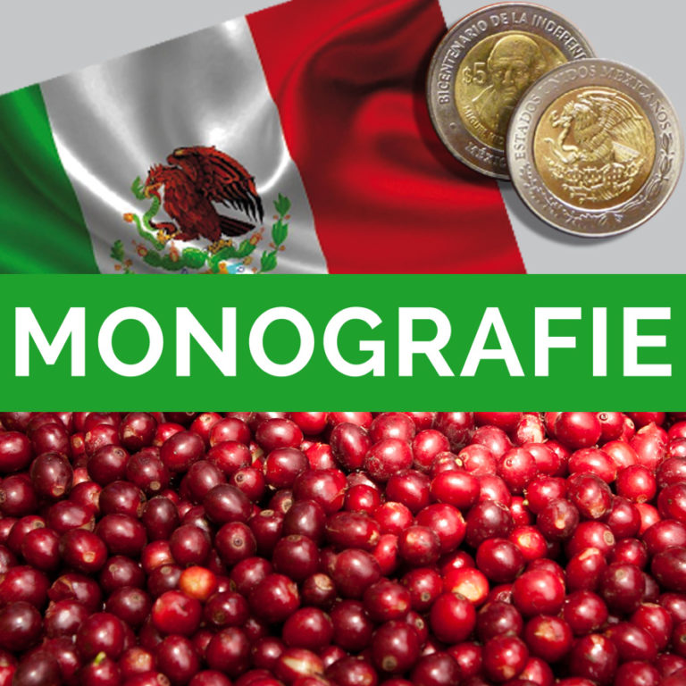 Monografie “MESSICO”