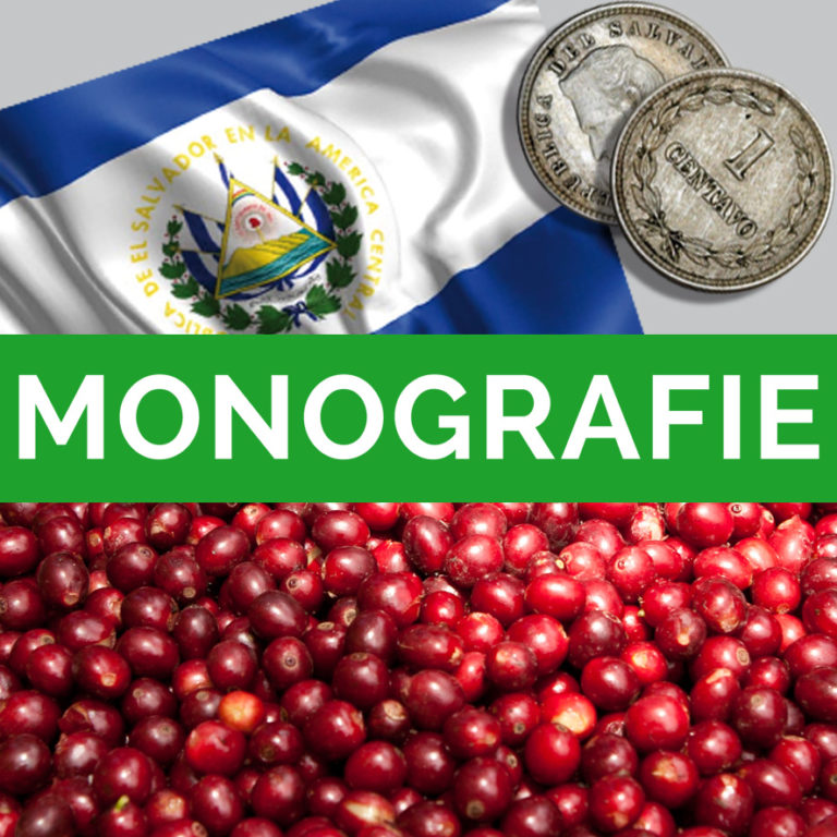 Monografie “EL SALVADOR”