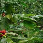 NICARAGUA foto 02