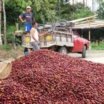 ECUADOR foto 02