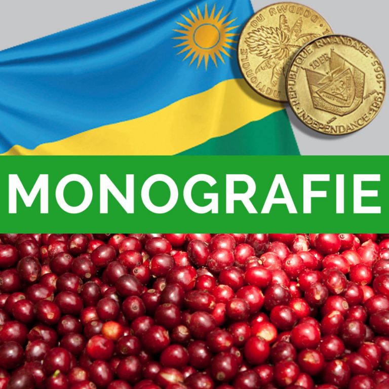 Monografie “RUANDA”