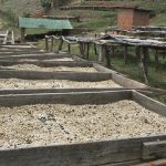 MALAWI foto 01