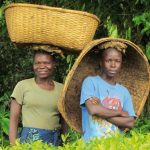 MALAWI foto 02