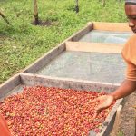 UGANDA foto 03