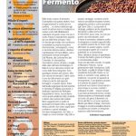 Notiziario-Torrefattori-Ottobre-2019_003