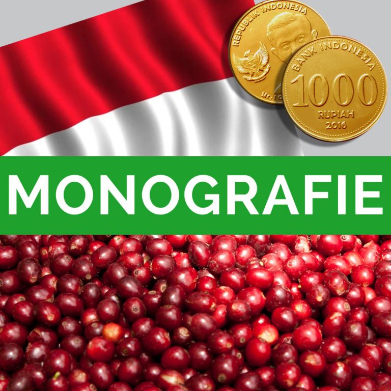 Monografie “INDONESIA”