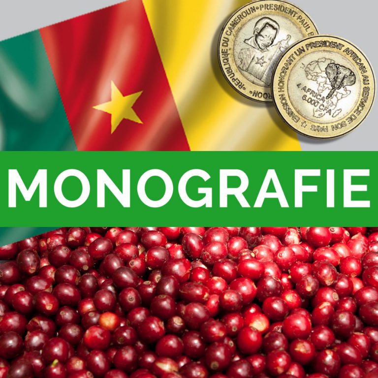 Monografie “CAMERUN”