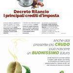 Notiziario-Torrefattori-Luglio-2020_027