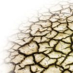 2021 10-01 Terra arida