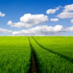 2022 07-01 Agricoltura