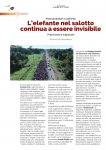 Notiziario-Torrefattori-Settembre-2023_020