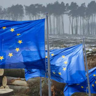 Nuovo regolamento EU contro la deforestazione