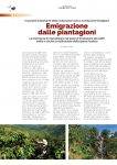 Notiziario-Torrefattori-Maggio-2024_016