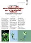 Notiziario-Torrefattori-Dicembre-2025_007