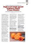 Notiziario-Torrefattori-Maggio-2026_023