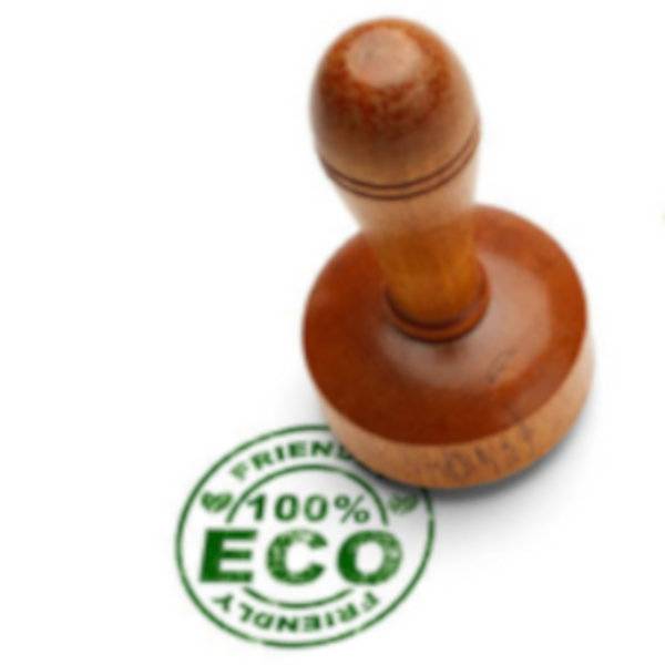 GREEN CLAIMS: da obbligo a leva strategica